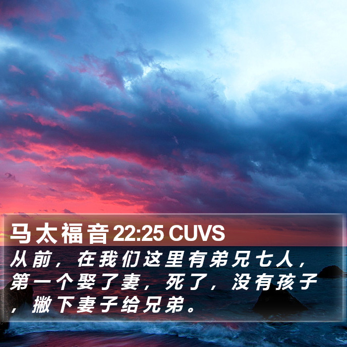 马 太 福 音 22:25 CUVS Bible Study