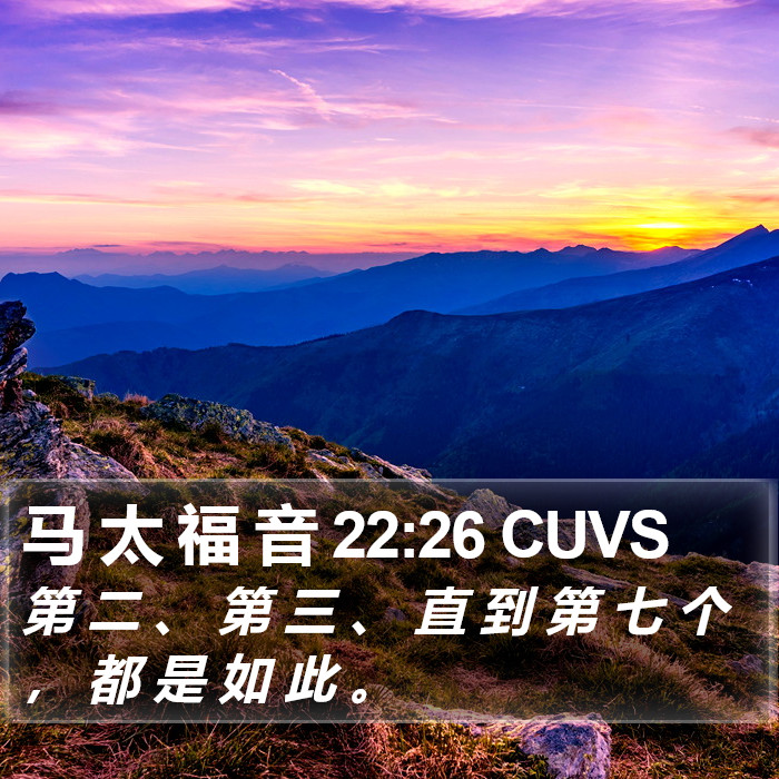 马 太 福 音 22:26 CUVS Bible Study