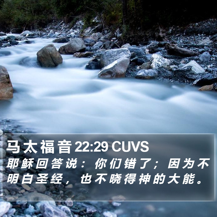 马 太 福 音 22:29 CUVS Bible Study