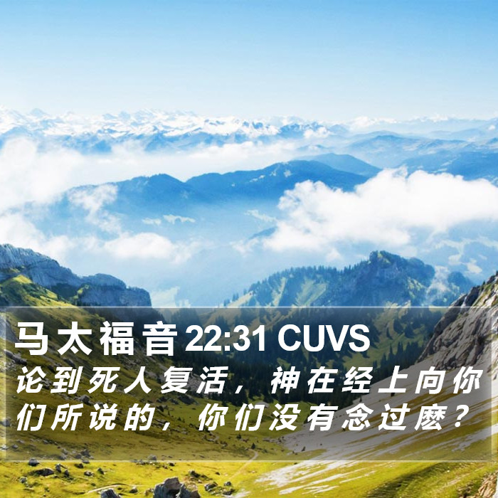 马 太 福 音 22:31 CUVS Bible Study