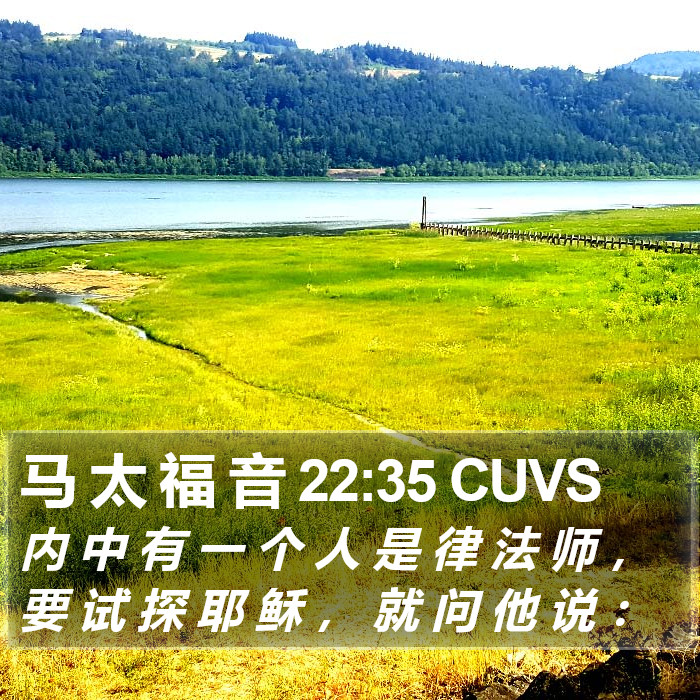 马 太 福 音 22:35 CUVS Bible Study