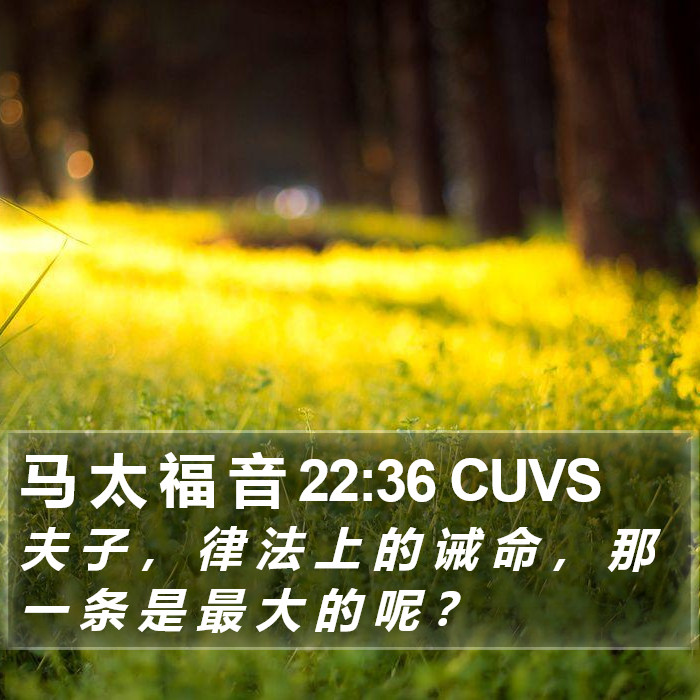 马 太 福 音 22:36 CUVS Bible Study