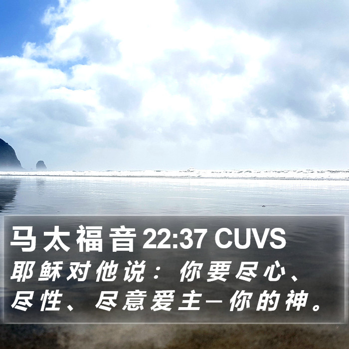 马 太 福 音 22:37 CUVS Bible Study