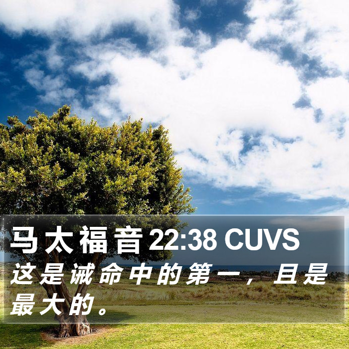 马 太 福 音 22:38 CUVS Bible Study