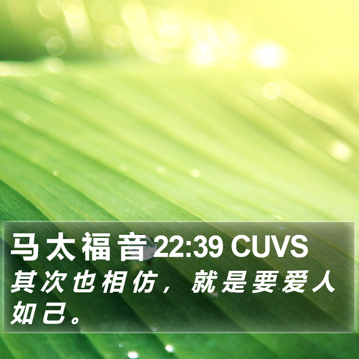 马 太 福 音 22:39 CUVS Bible Study