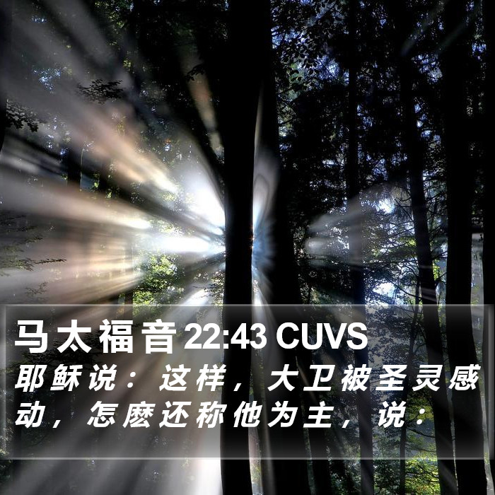 马 太 福 音 22:43 CUVS Bible Study