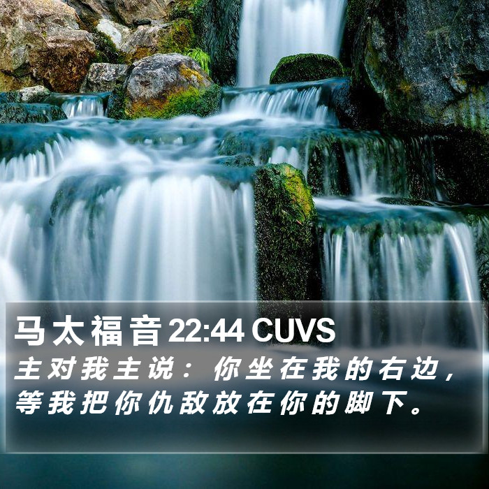 马 太 福 音 22:44 CUVS Bible Study