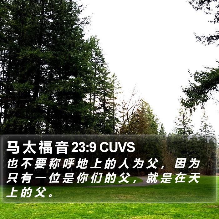 马 太 福 音 23:9 CUVS Bible Study
