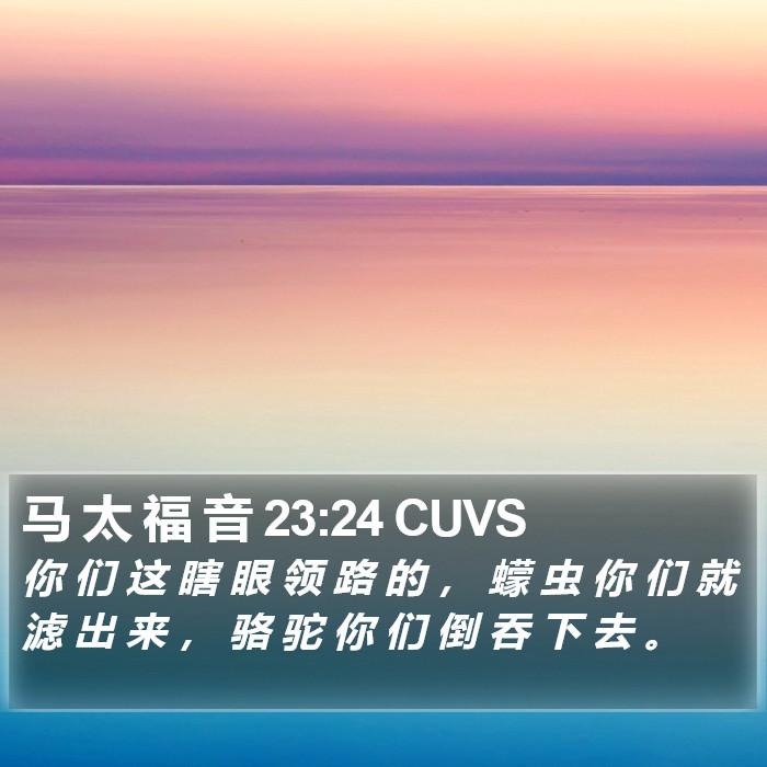 马 太 福 音 23:24 CUVS Bible Study