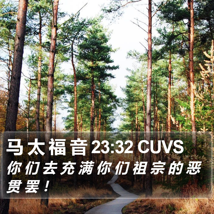 马 太 福 音 23:32 CUVS Bible Study