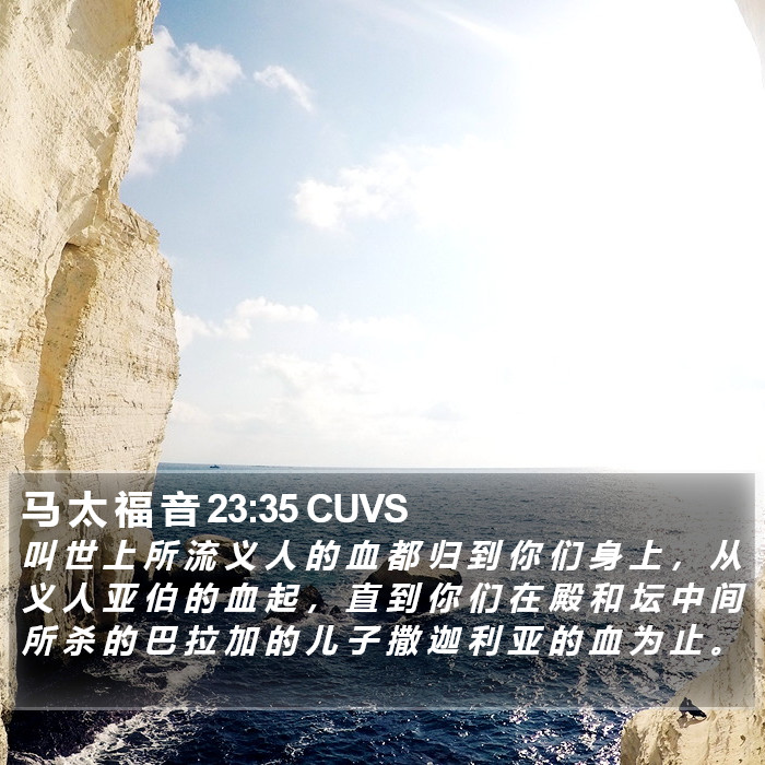 马 太 福 音 23:35 CUVS Bible Study