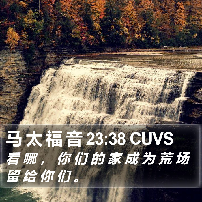马 太 福 音 23:38 CUVS Bible Study