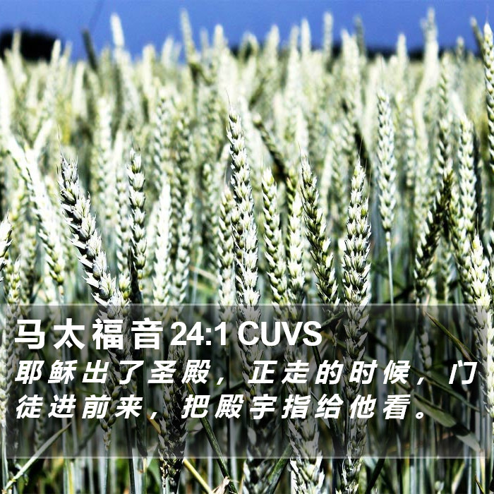 马 太 福 音 24:1 CUVS Bible Study