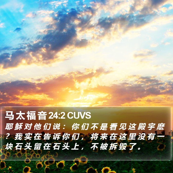 马 太 福 音 24:2 CUVS Bible Study