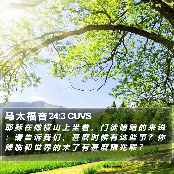 马 太 福 音 24:3 CUVS Bible Study