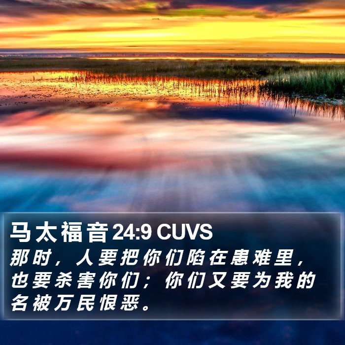 马 太 福 音 24:9 CUVS Bible Study