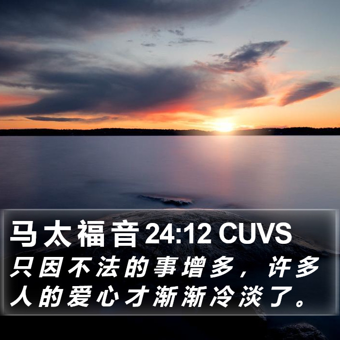 马 太 福 音 24:12 CUVS Bible Study