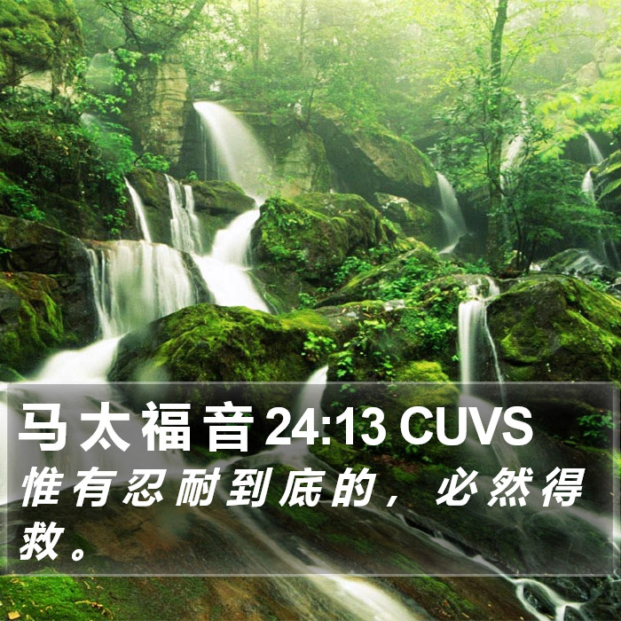 马 太 福 音 24:13 CUVS Bible Study