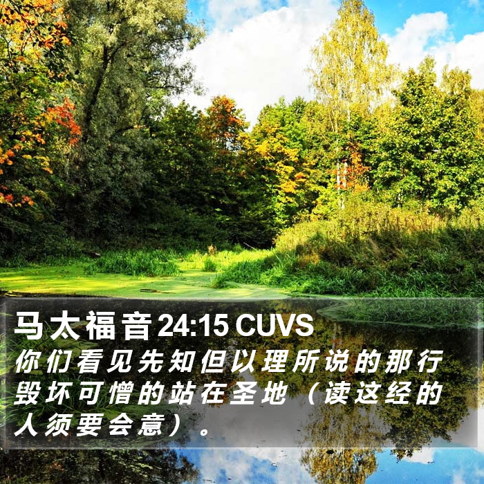 马 太 福 音 24:15 CUVS Bible Study