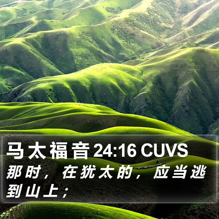 马 太 福 音 24:16 CUVS Bible Study