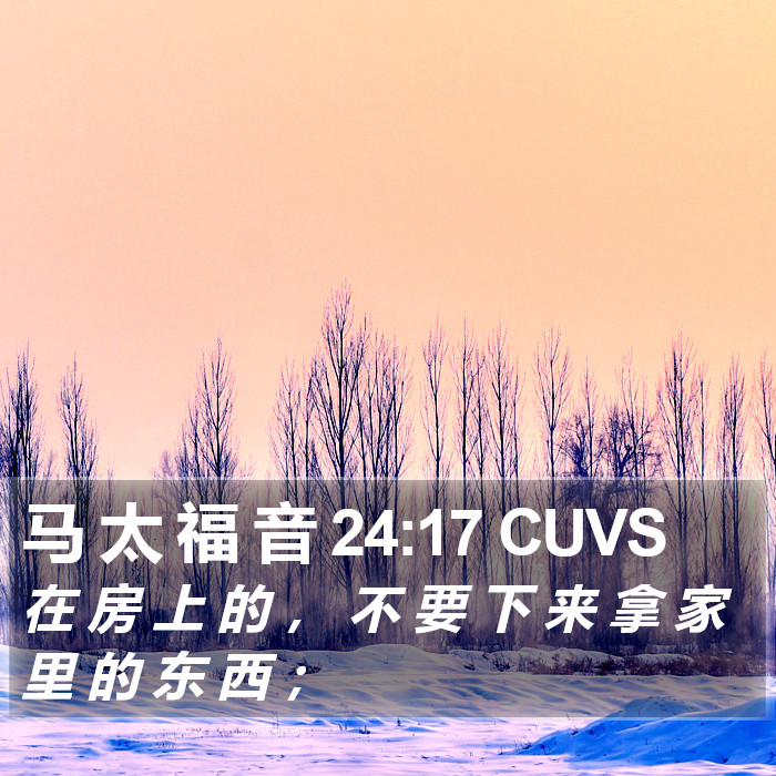 马 太 福 音 24:17 CUVS Bible Study