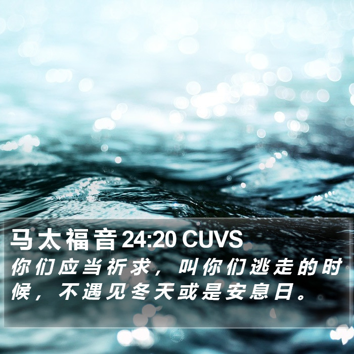 马 太 福 音 24:20 CUVS Bible Study