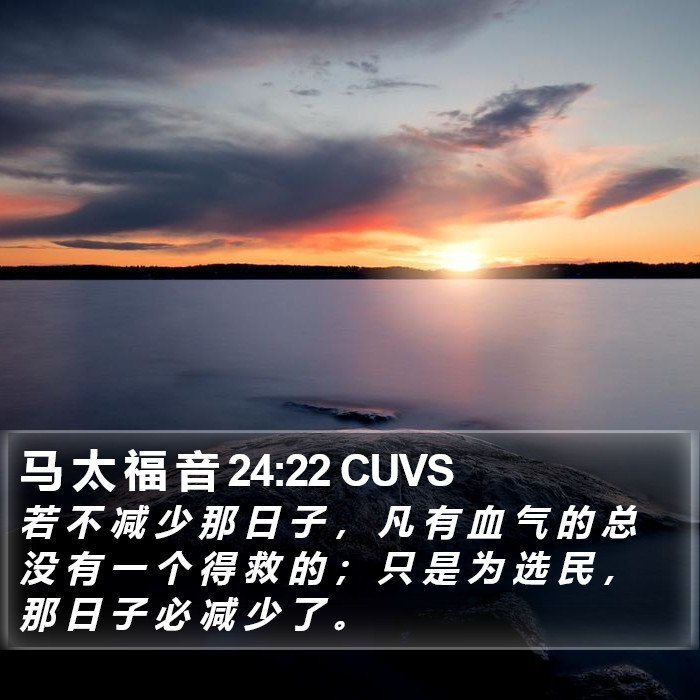 马 太 福 音 24:22 CUVS Bible Study