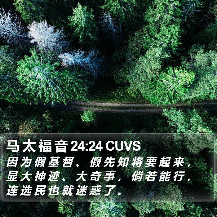 马 太 福 音 24:24 CUVS Bible Study