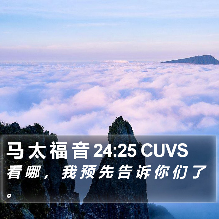 马 太 福 音 24:25 CUVS Bible Study