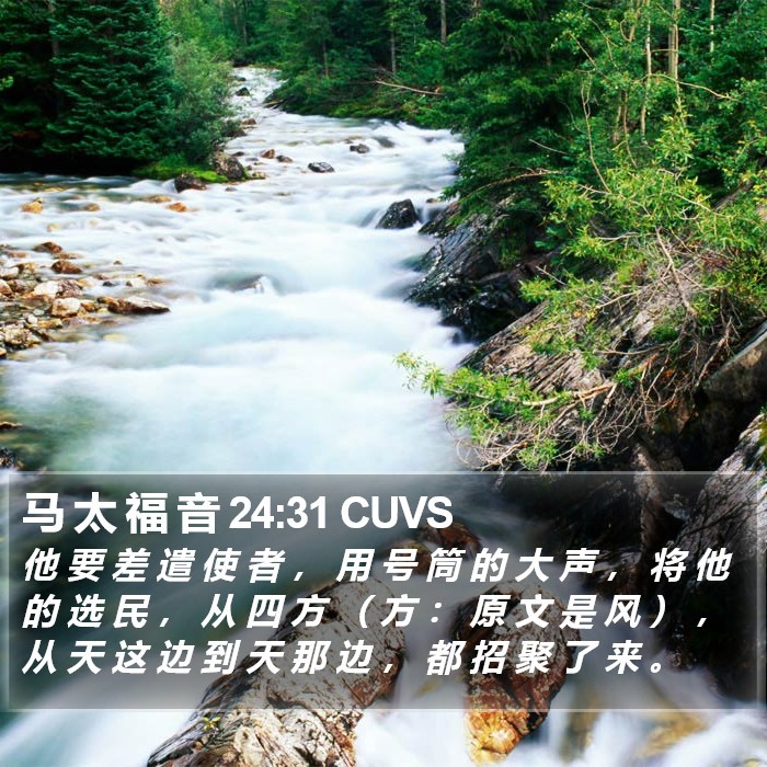 马 太 福 音 24:31 CUVS Bible Study