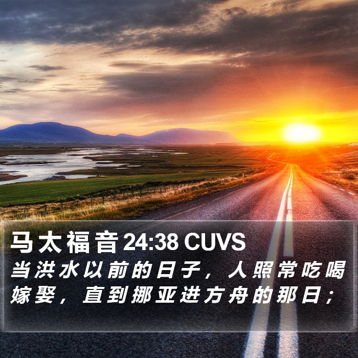 马 太 福 音 24:38 CUVS Bible Study