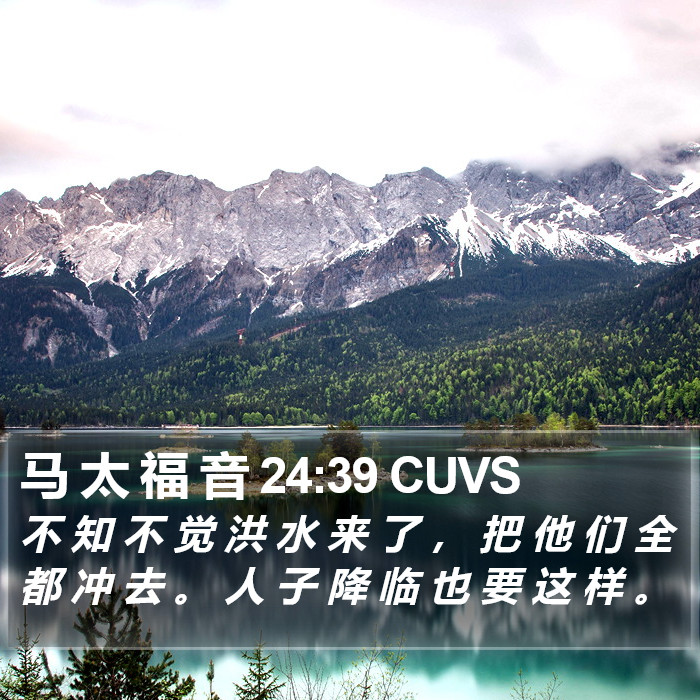 马 太 福 音 24:39 CUVS Bible Study