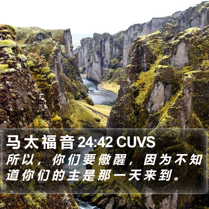 马 太 福 音 24:42 CUVS Bible Study