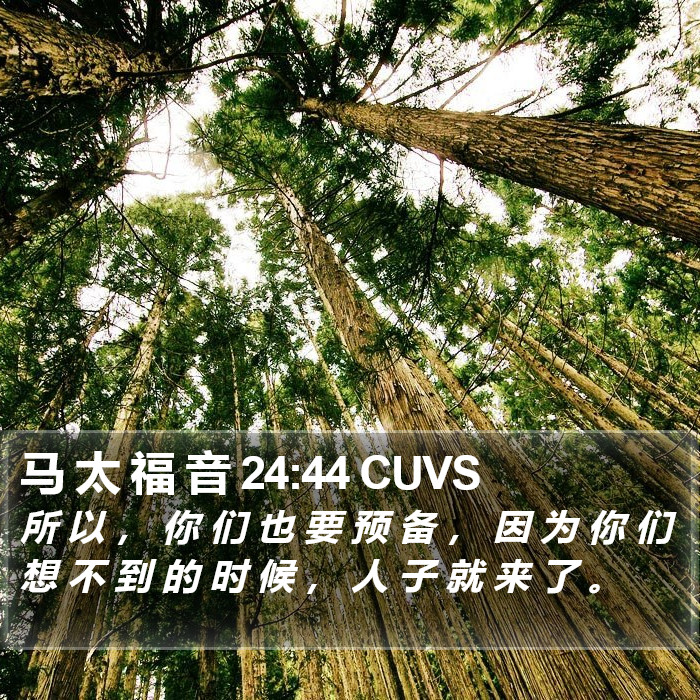 马 太 福 音 24:44 CUVS Bible Study