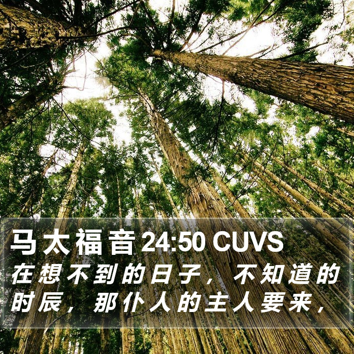 马 太 福 音 24:50 CUVS Bible Study