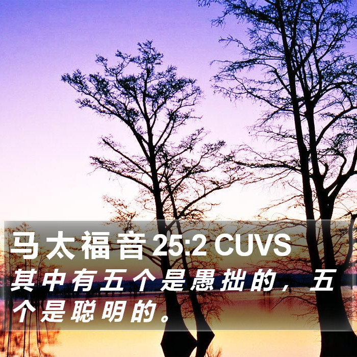 马 太 福 音 25:2 CUVS Bible Study