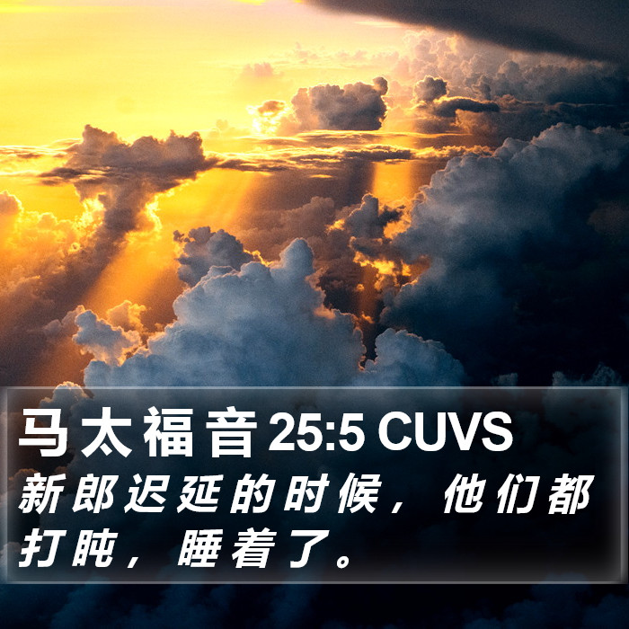 马 太 福 音 25:5 CUVS Bible Study