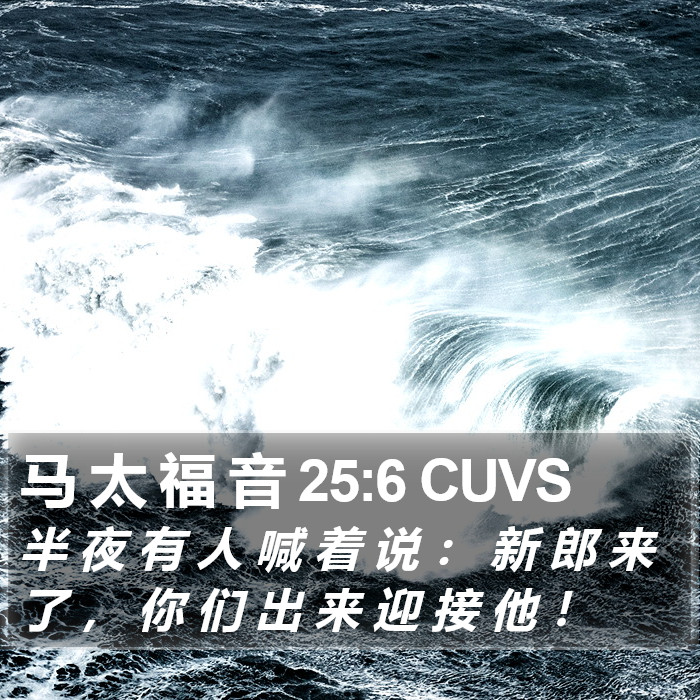 马 太 福 音 25:6 CUVS Bible Study