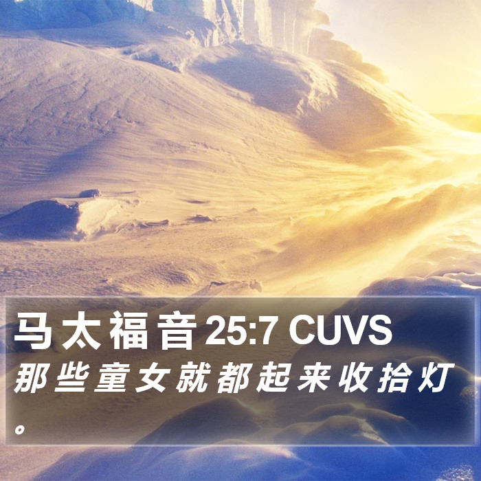 马 太 福 音 25:7 CUVS Bible Study