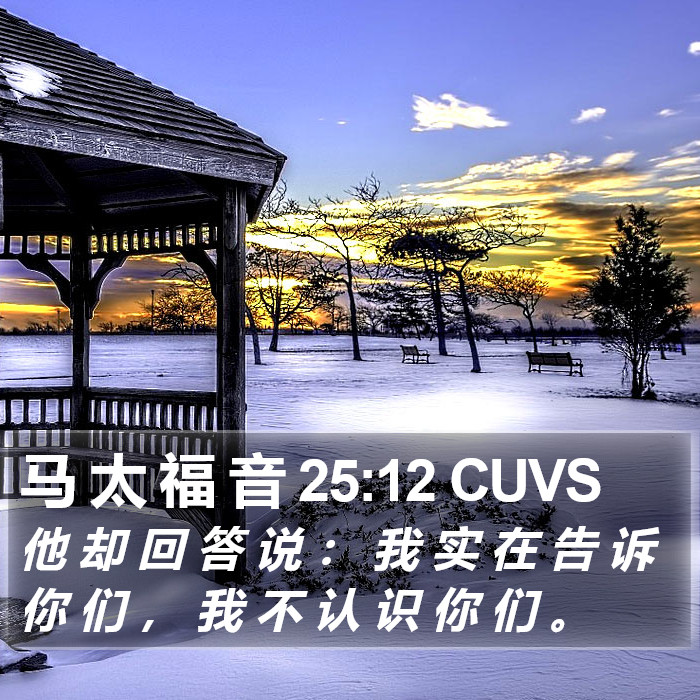 马 太 福 音 25:12 CUVS Bible Study