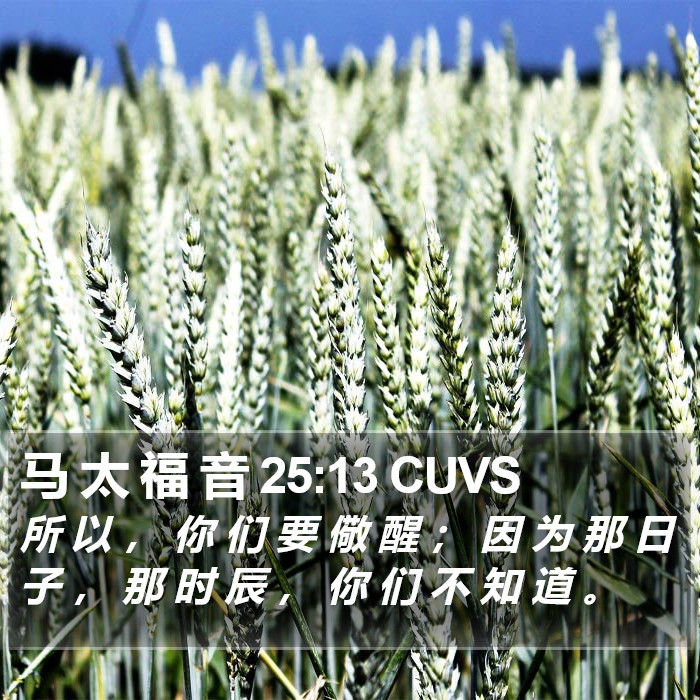 马 太 福 音 25:13 CUVS Bible Study