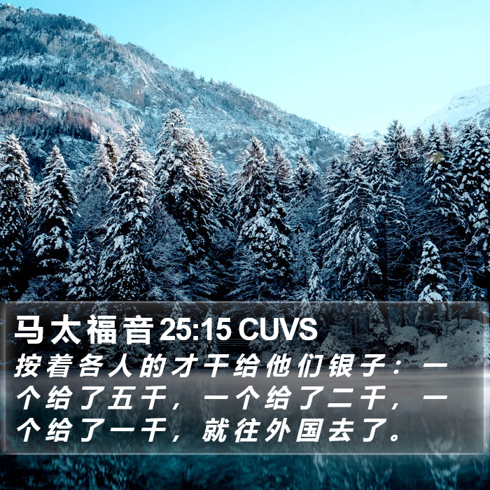 马 太 福 音 25:15 CUVS Bible Study