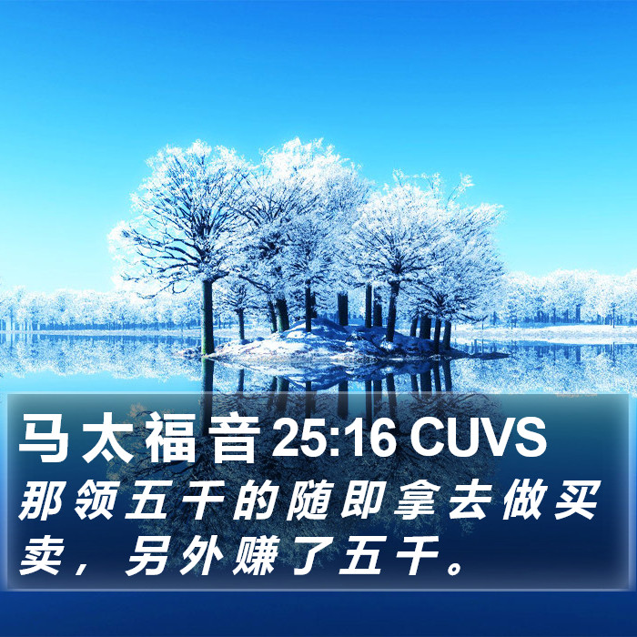 马 太 福 音 25:16 CUVS Bible Study