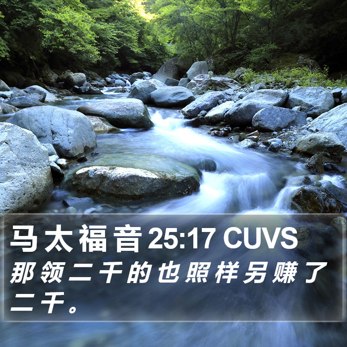 马 太 福 音 25:17 CUVS Bible Study