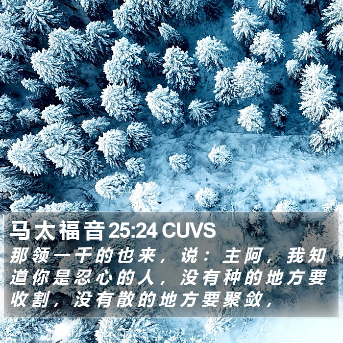 马 太 福 音 25:24 CUVS Bible Study