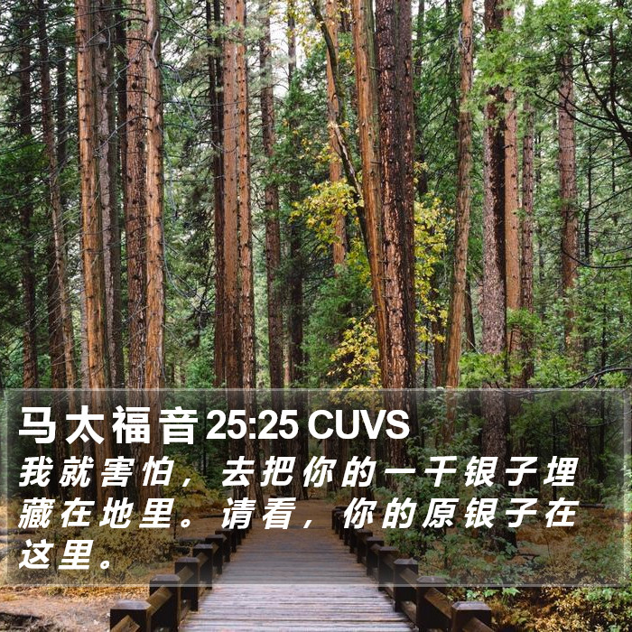 马 太 福 音 25:25 CUVS Bible Study