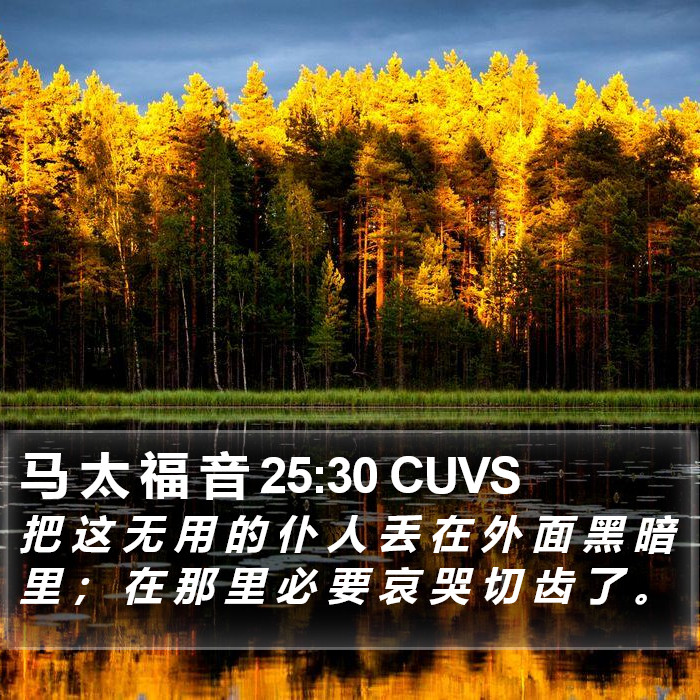 马 太 福 音 25:30 CUVS Bible Study