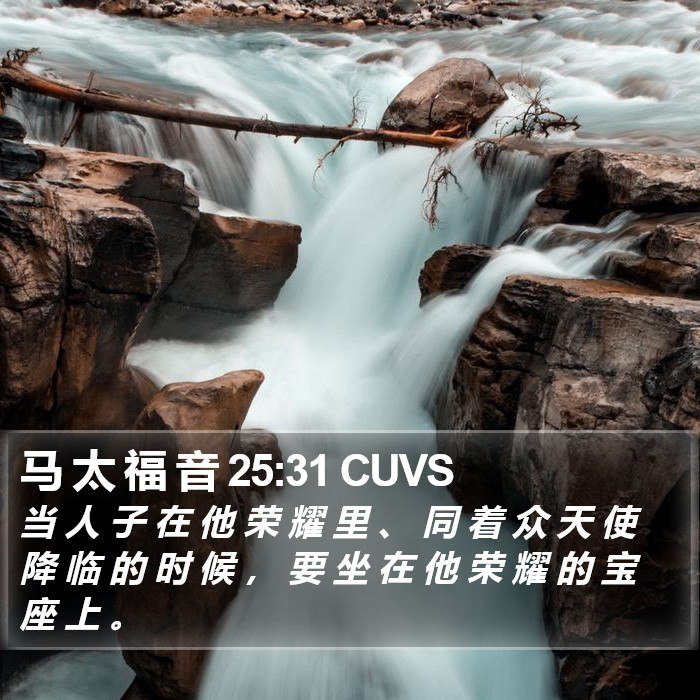 马 太 福 音 25:31 CUVS Bible Study