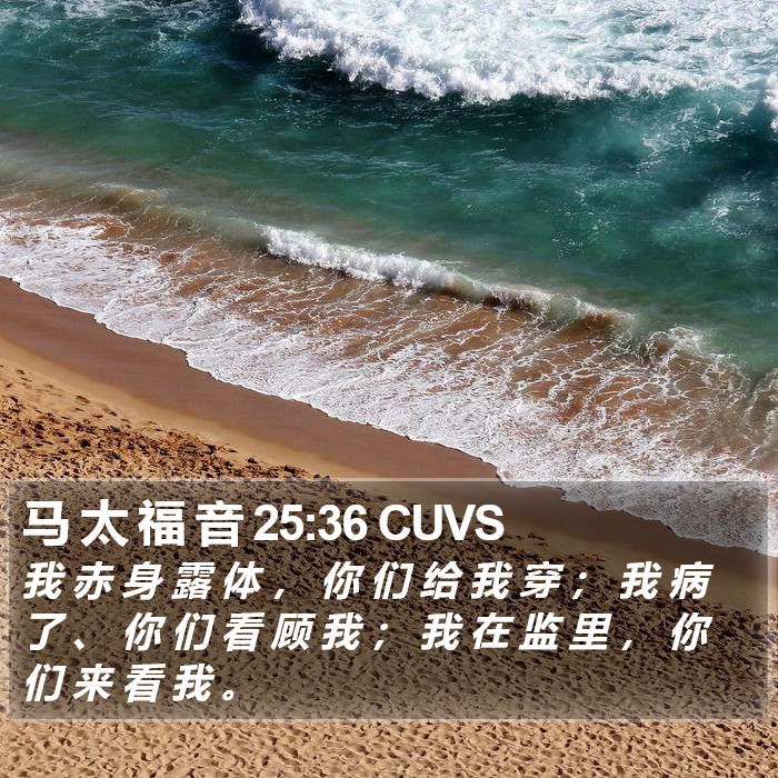 马 太 福 音 25:36 CUVS Bible Study