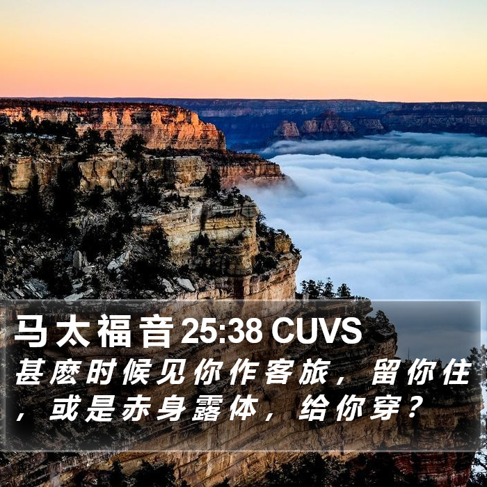 马 太 福 音 25:38 CUVS Bible Study